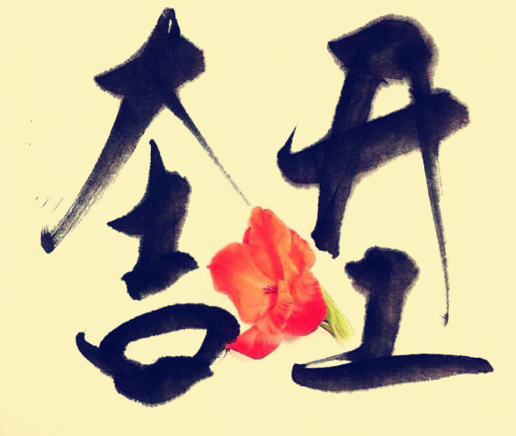 駿業(yè)包裝開(kāi)工大吉！